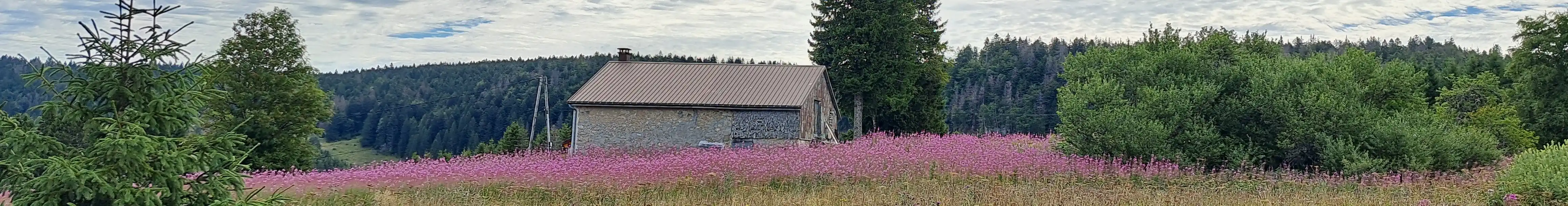 Paysage du Jura